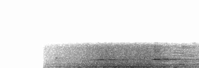 Tinamou vermiculé - ML607781291