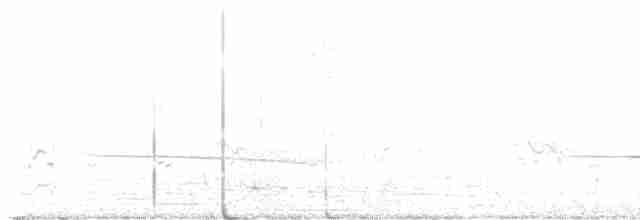 Black-eared Cuckoo - ML607825411