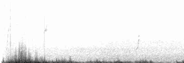 vdovka černobílá - ML607861961