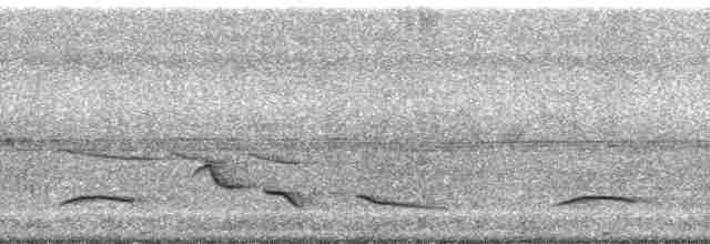 Turuncu Alınlı Turpiyal - ML60788