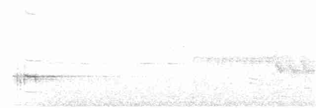 Great Reed Warbler - ML60790161