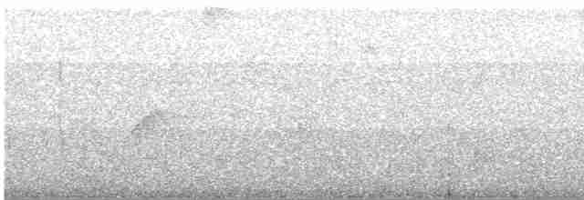 Black-billed Mountain-Toucan - ML608056291