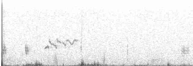 Chalk-browed Mockingbird - ML608239381