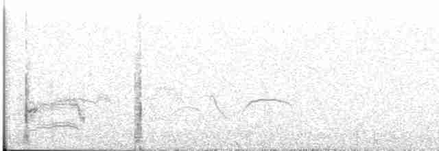 Chalk-browed Mockingbird - ML608239481