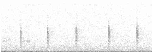 Woodchat Shrike - ML608247631