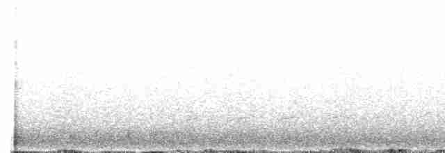 Çatal Kuyruklu Drongo Guguğu - ML608252771