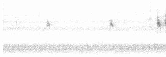 Gray Wagtail - ML608259641