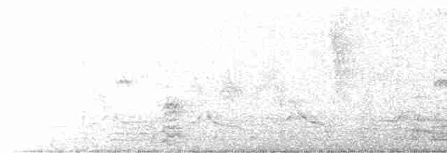 Fork-tailed Flycatcher (savana) - ML608265267