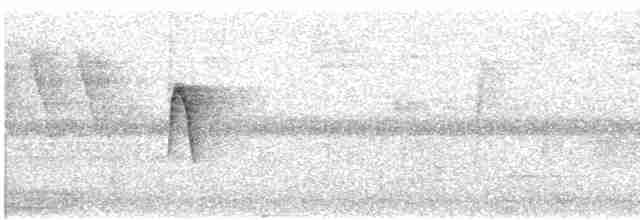 Уккрашенная курэта (ornatus/stellatus) - ML608267300