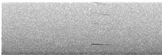 Серогрудый крапивник - ML608267965
