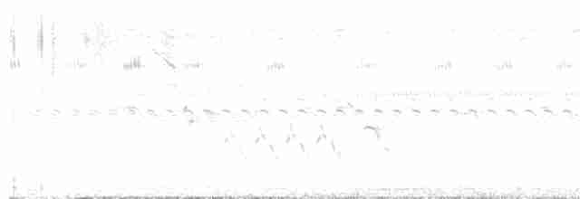 Pantanal Çalı Sinekkapanı - ML608278993