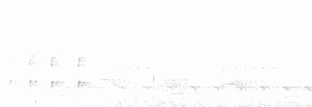 Длиннохохлая чубатка - ML608281236