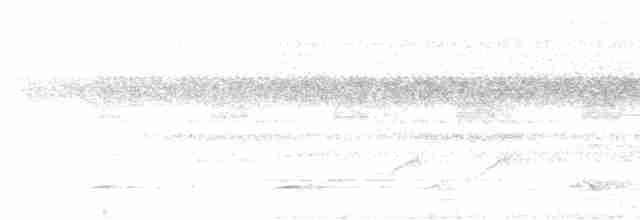 Сичик-горобець бразильський - ML608281321
