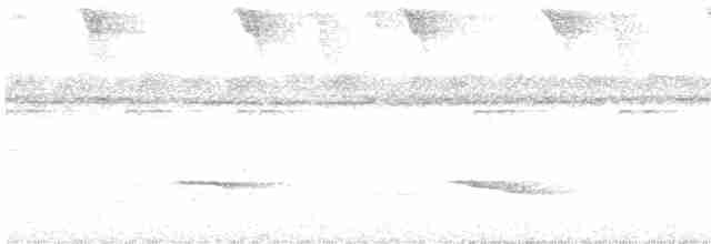 Kestane Sırtlı Karıncakuşu - ML608281504