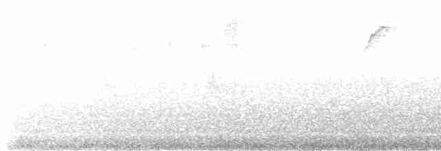 Gelbbürzel-Ameisenfänger - ML608281795