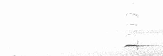 Al Beyaz Yerçavuşu - ML608281890