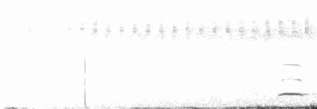 Сичик-горобець болівійський - ML608281929