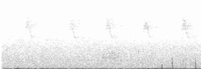 Wagler Papağanı - ML608282173