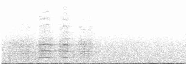 Aratinga de Wagler - ML608282212