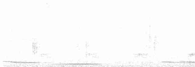 Chiriqui Quail-Dove - ML608283882