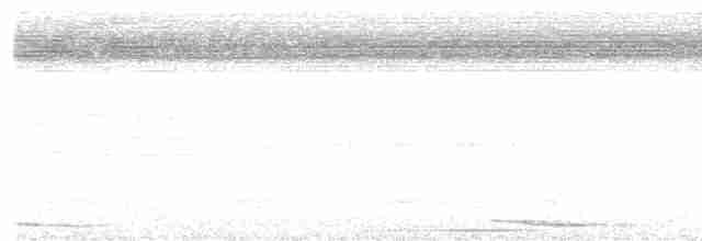 Chiriqui Quail-Dove - ML608284397