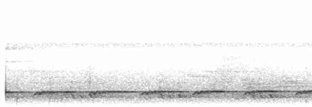 Белощёкая лесная куропатка - ML608284475