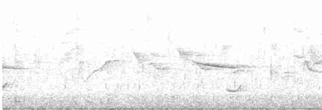 brunkinnskogtrost (ustulatus gr.) - ML608285063