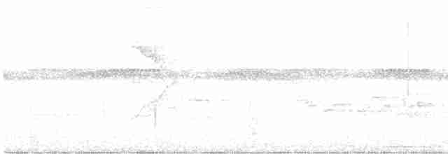 Серогрудый крапивник (bangsi) - ML608285610