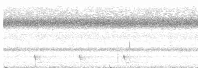 Large-tailed Nightjar - ML608290248