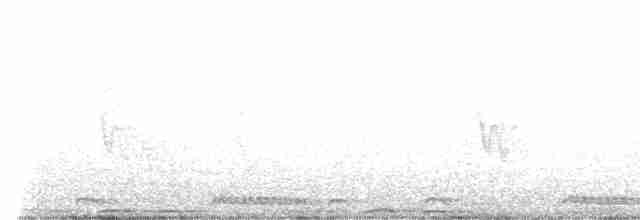 Белобрюхая нектарница - ML608290836