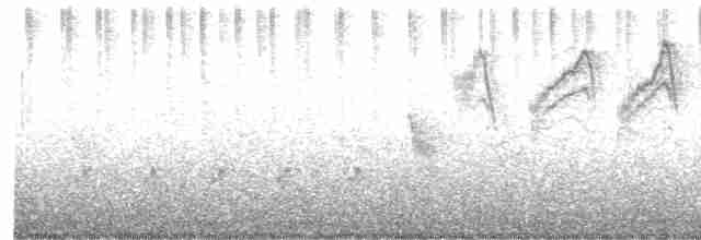 Сорокопутовая мухоловка - ML608297718