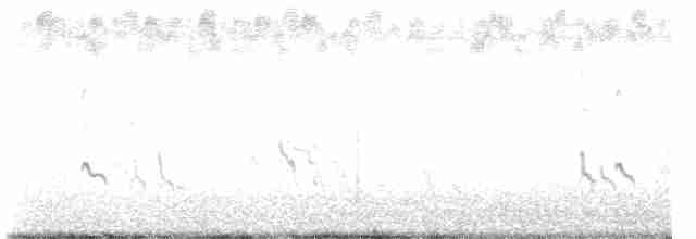 Короткоклювый бекасовидный веретенник - ML608299067