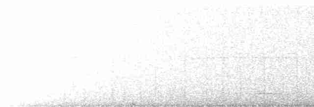 Scissor-tailed Nightjar - ML608303957