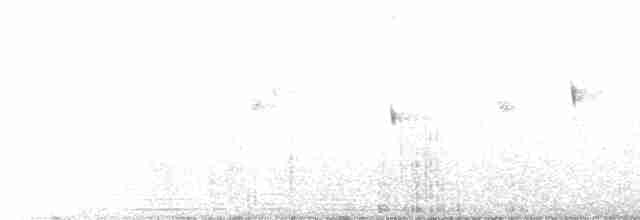 Scissor-tailed Nightjar - ML608303958