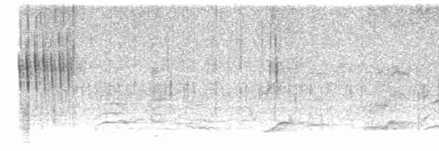 Kestane Kanatlı Sinklot - ML608314820