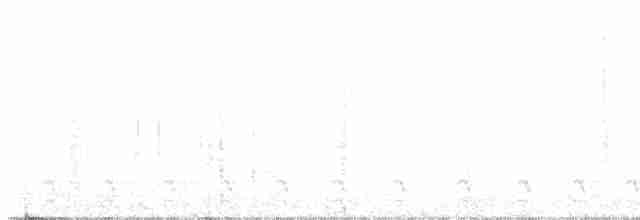 hvitbrynsvartspett - ML608321725