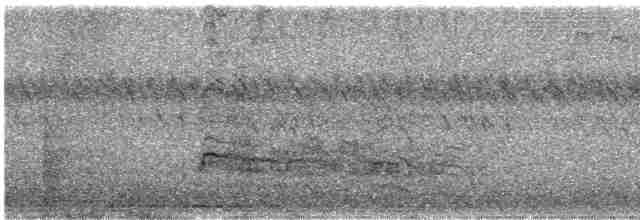 Канюк неоарктичний (підвид borealis) - ML608322097