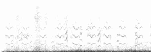 Common Tern - ML608325183