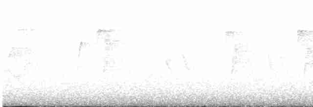 Cerulean Warbler - ML608326638
