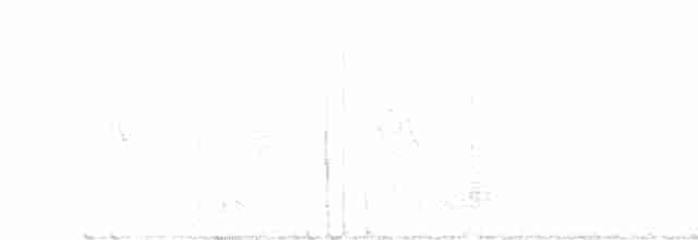 Pine Siskin - ML608328654