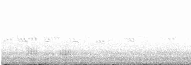 Neotropic Cormorant - ML608329768
