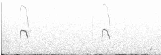 Землекоп андійський - ML608330148