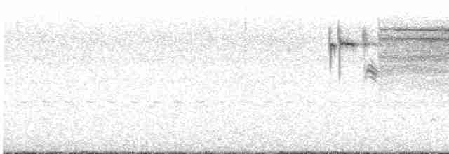 White-browed Meadowlark - ML608339767