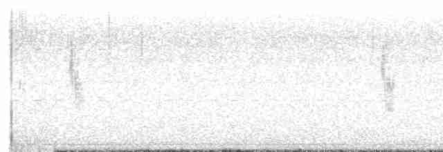 White-browed Meadowlark - ML608339771