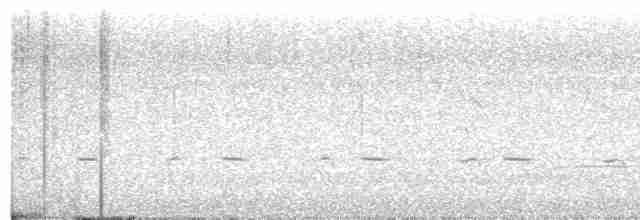 Benekli Notura Tinamusu - ML608339774