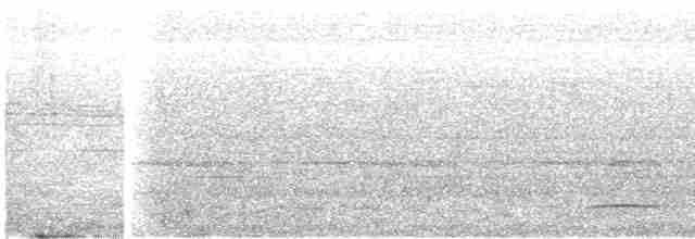 Тиран-плоскодзьоб малий - ML608346298