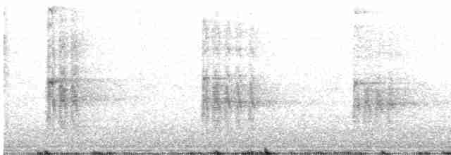 strakapoud bělohlavý - ML608348845