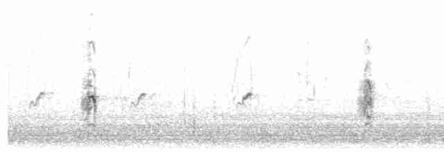 Little Tern - ML608351164