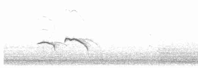Crested Lark (Crested) - ML608351182