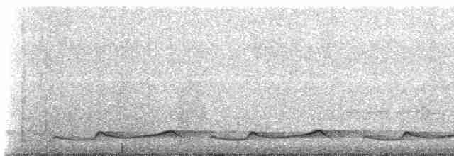 Silky-tailed Nightjar - ML608353634